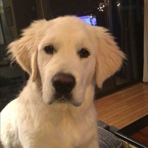 Meet your Posher, Nancy